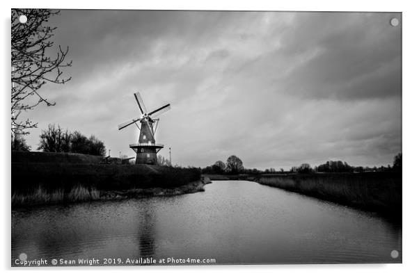 Windmill in Holland  Acrylic by Sean Wright