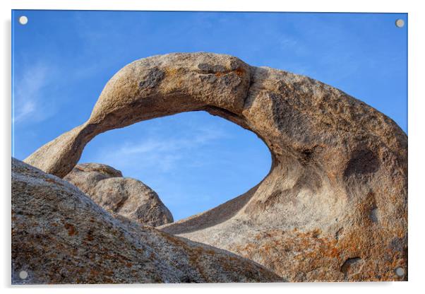 Mobius Arch Acrylic by David Hare