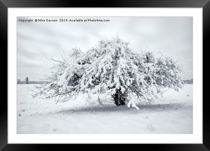 Winter Blanket Framed Mounted Print by Mike Dawson