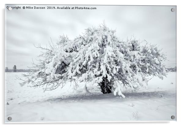 Winter Blanket Acrylic by Mike Dawson