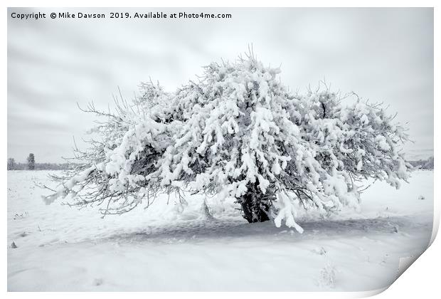 Winter Blanket Print by Mike Dawson