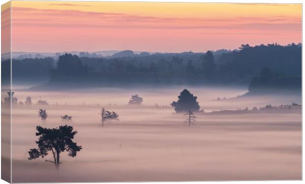 A magical misty morning  Canvas Print by Gary Pearson