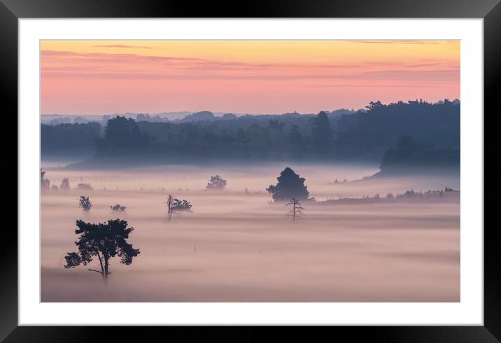 A magical misty morning  Framed Mounted Print by Gary Pearson