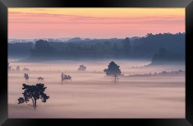 A magical misty morning  Framed Print by Gary Pearson
