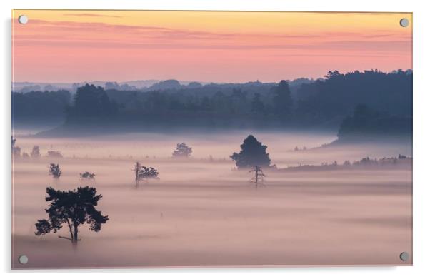 A magical misty morning  Acrylic by Gary Pearson