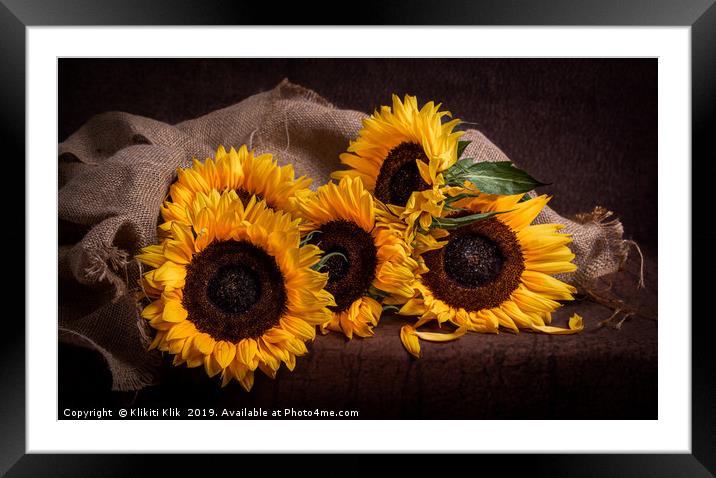 Sunflowers Framed Mounted Print by Angela H