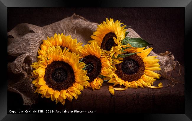 Sunflowers Framed Print by Angela H