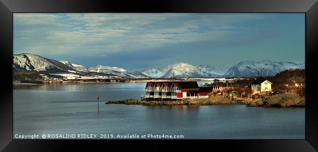 "Blue hour at Stokmarknes Norway" Framed Print by ROS RIDLEY