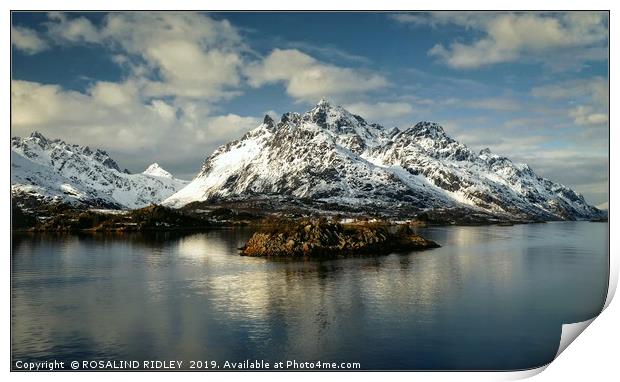 "Blue hour Lofoten Islands" Print by ROS RIDLEY