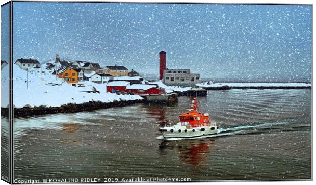 "Rescue in the snow" Canvas Print by ROS RIDLEY