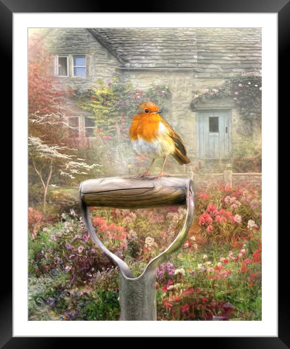 Robins Garden Framed Mounted Print by Trudi Simmonds