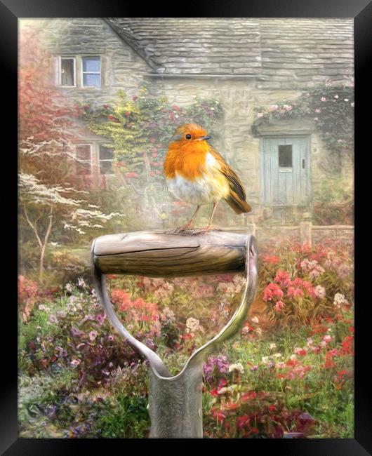 Robins Garden Framed Print by Trudi Simmonds