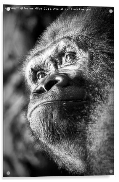 Gorilla Acrylic by Joanne Wilde