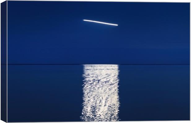 The flight over sea Canvas Print by Dalius Baranauskas