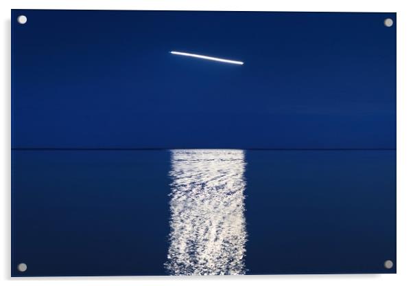 The flight over sea Acrylic by Dalius Baranauskas