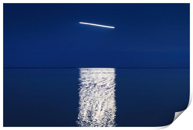 The flight over sea Print by Dalius Baranauskas
