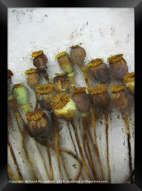        Poppy Heads and Seeds                       Framed Print by David Mccandlish