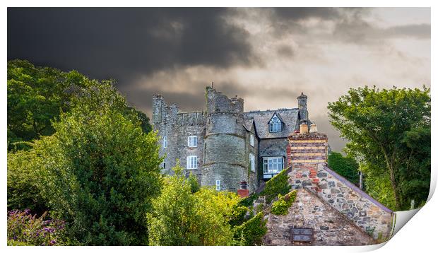 Newport Castle, Pembrokeshire, Wales, UK Print by Mark Llewellyn