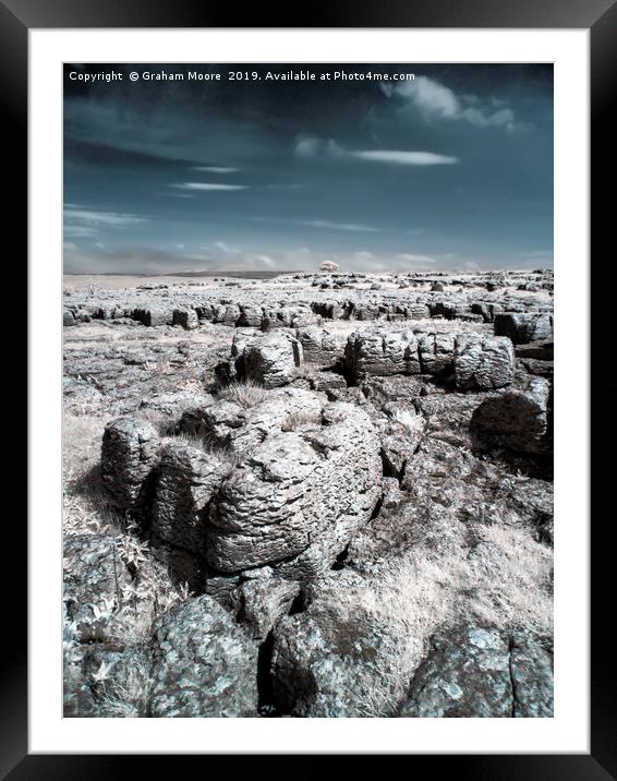 Limestone pavement and lone tree infrared Framed Mounted Print by Graham Moore