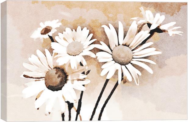 Blooming bouquet of daisies Canvas Print by Wdnet Studio