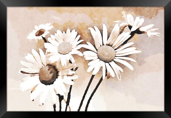 Blooming bouquet of daisies Framed Print by Wdnet Studio