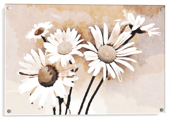 Blooming bouquet of daisies Acrylic by Wdnet Studio
