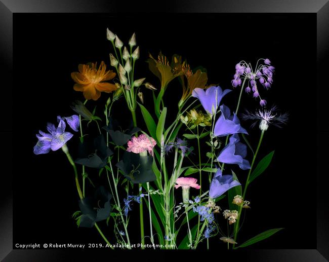 Floral arrangement Framed Print by Robert Murray