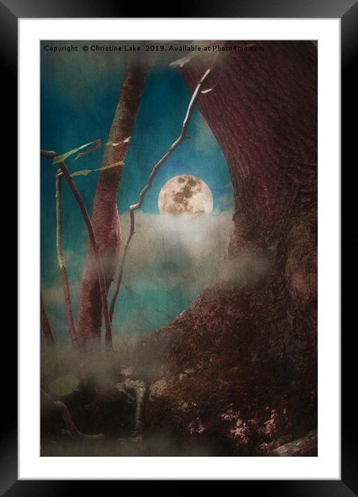 Magical Moments Framed Mounted Print by Christine Lake