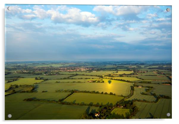 Aerial Landscape Acrylic by Svetlana Sewell