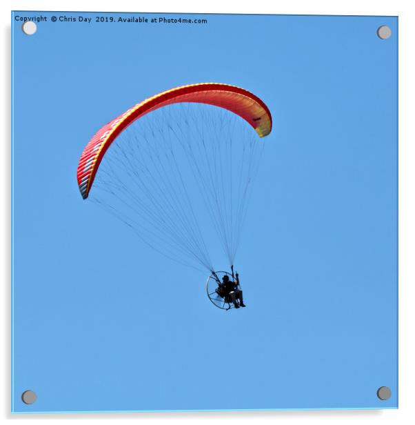 Paraglider Acrylic by Chris Day