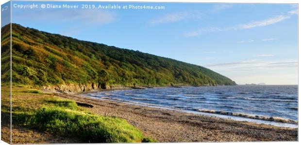 Sand Bay Beach and Woodlands Canvas Print by Diana Mower