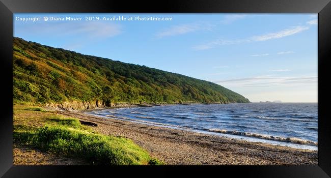  Sand Bay Beach and Woodlands Framed Print by Diana Mower