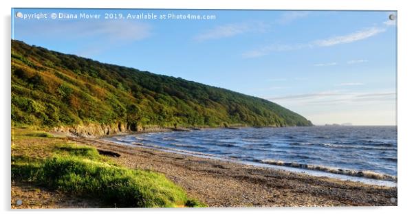  Sand Bay Beach and Woodlands Acrylic by Diana Mower