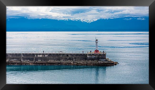 Breakwater and lighthouse in Victoria, BC Framed Print by Darryl Brooks
