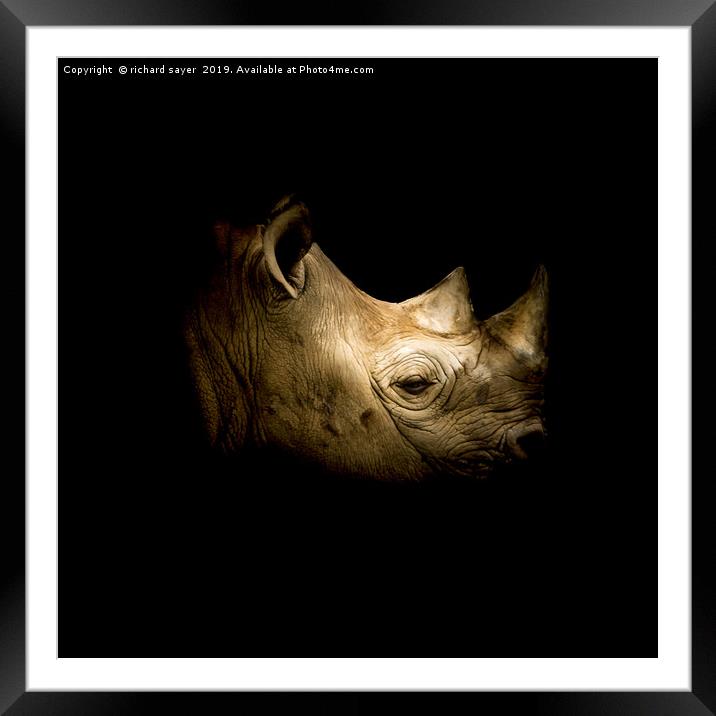 Black Rhino Framed Mounted Print by richard sayer