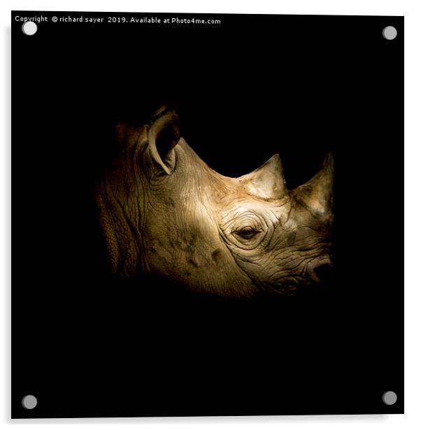 Black Rhino Acrylic by richard sayer