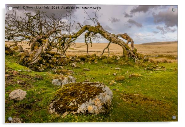 Dartmoor National Park Whiteworks Abandoned Tin Mi Acrylic by Simon Litchfield