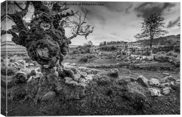 Dartmoor National Park Whiteworks Abandoned Tin Mi Canvas Print by Simon Litchfield