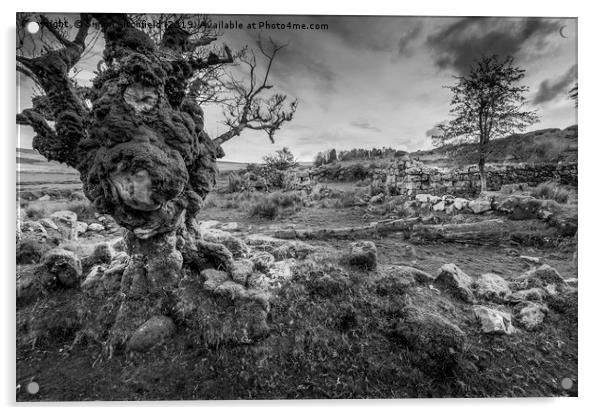 Dartmoor National Park Whiteworks Abandoned Tin Mi Acrylic by Simon Litchfield