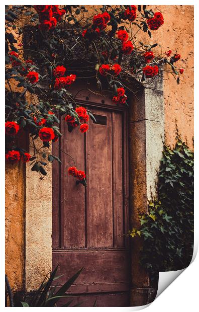 Doorway Valbonne France Print by Maggie McCall