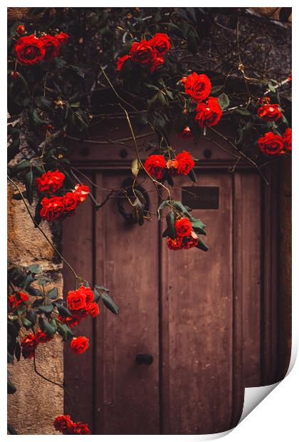 Rustic French doorway Valbonne France Print by Maggie McCall
