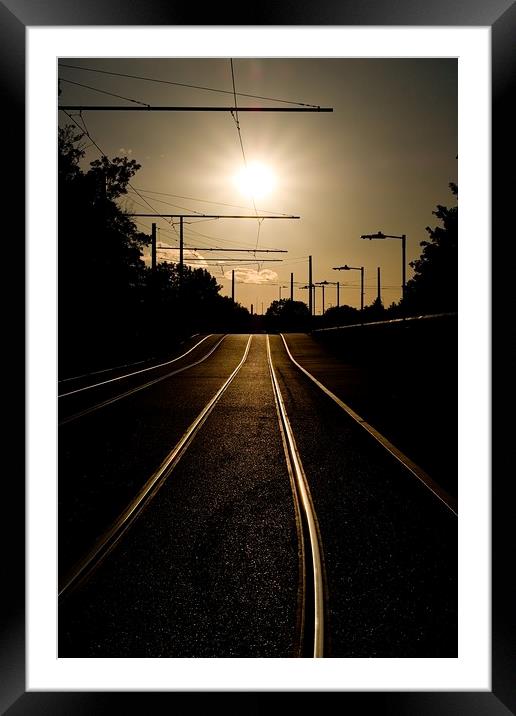Golden Lines Framed Mounted Print by Jules Taylor