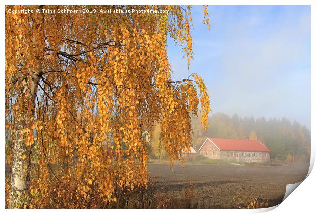 Autumnal Landscape with Morning Mist Print by Taina Sohlman