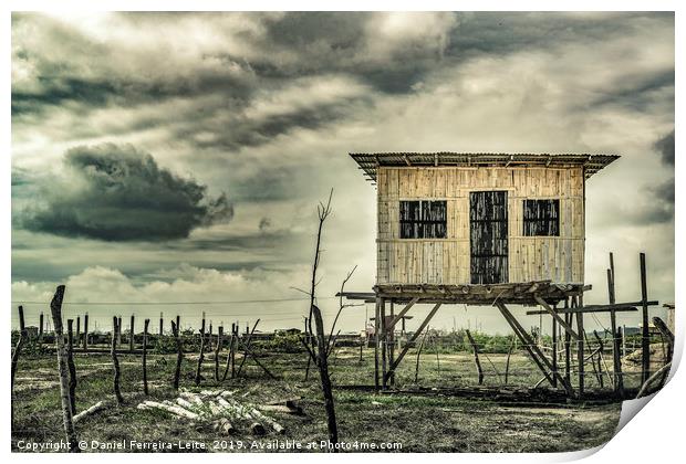 Traditional Cane House Ecuador Print by Daniel Ferreira-Leite