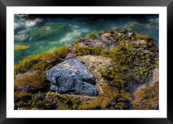Rock pool Framed Mounted Print by Pete Hemington