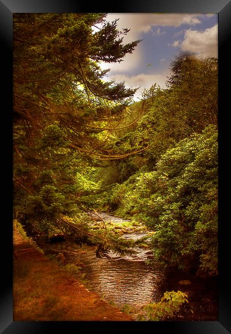 The Trough of Bowland  Framed Print by Irene Burdell