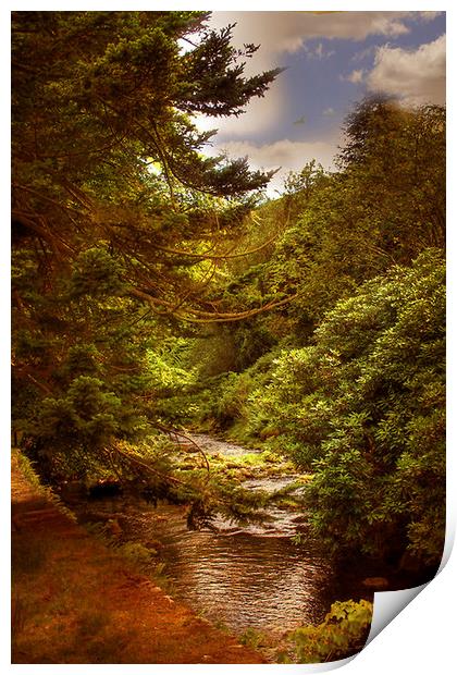 The Trough of Bowland  Print by Irene Burdell