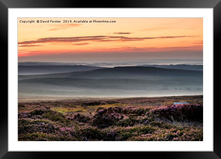 Misty Moorland Dawn  Framed Mounted Print by David Forster