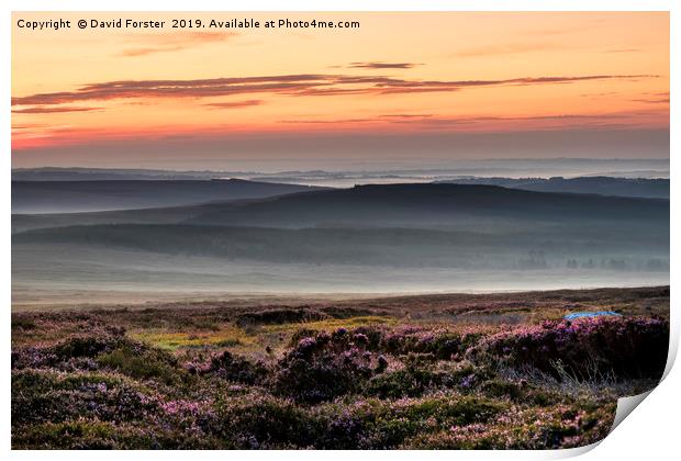 Misty Moorland Dawn  Print by David Forster