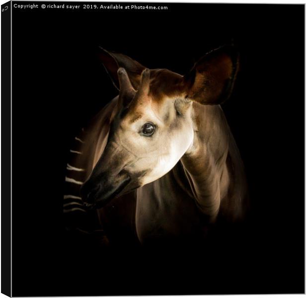 Enchanting Okapi Encounter Canvas Print by richard sayer